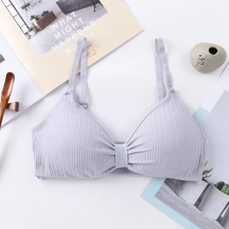 V Cup Light Padded Korean Style Cotton Seamless Bra