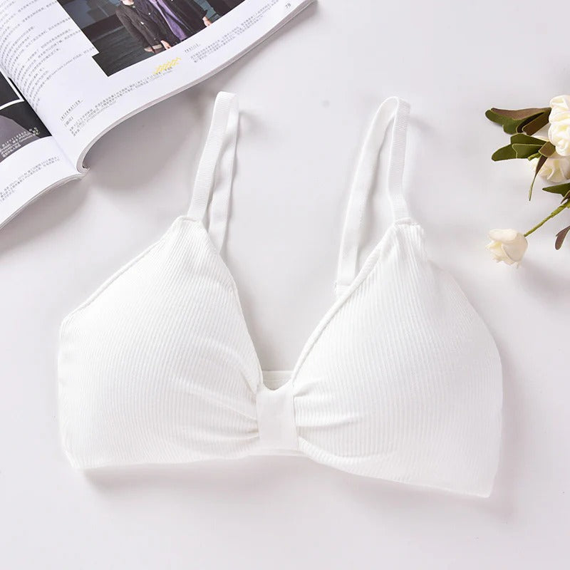 V Cup Light Padded Korean Style Cotton Seamless Bra