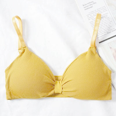 V Cup Light Padded Korean Style Cotton Seamless Bra